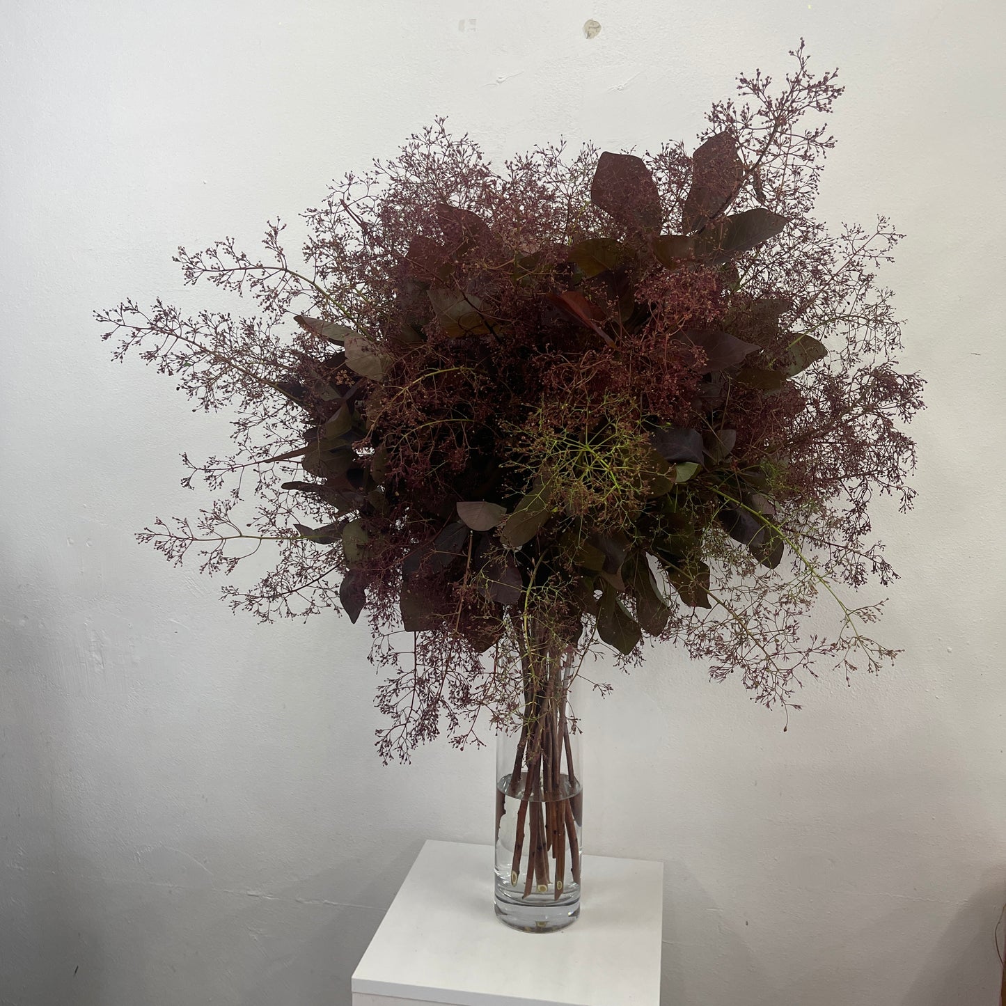 Large smoke bush bouquet arranged in a tall vase, featuring natural texture and soft seasonal tones, part of the Spring Limited Collection 2025 by Adam The Flower Man.